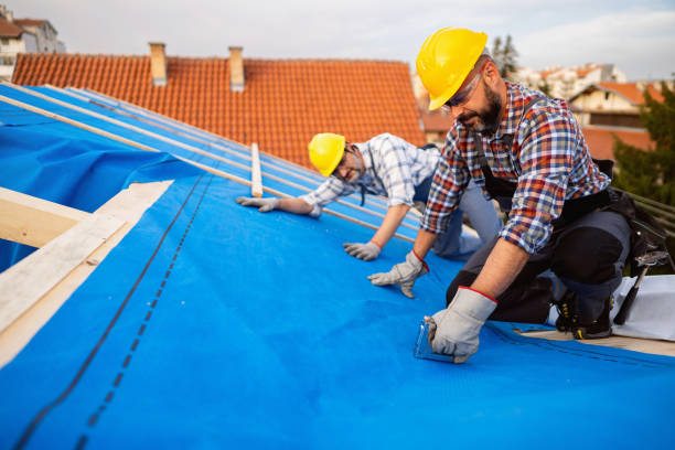 Fast & Reliable Emergency Roof Repairs in Frazee, MN